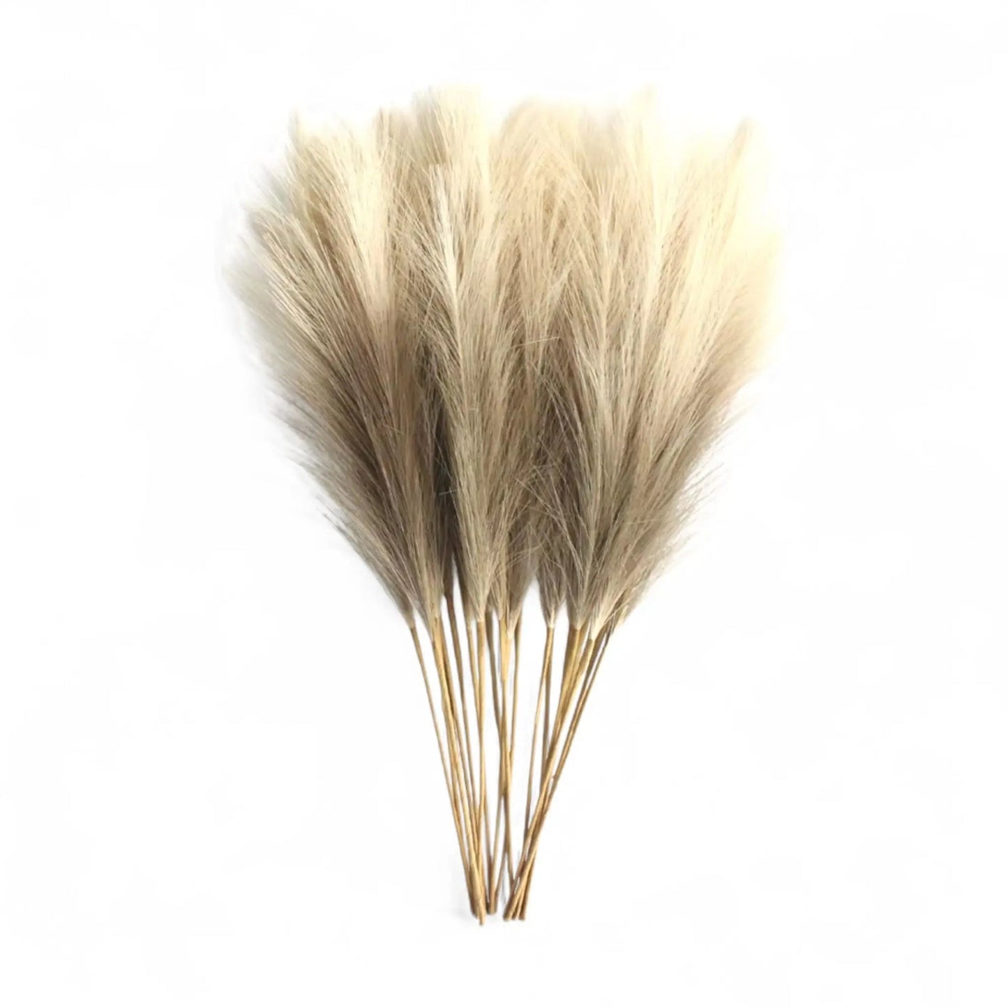 Artificial Pampas Grass Decor – 6pcs Faux Stems for Boho Styling Geniogoods
