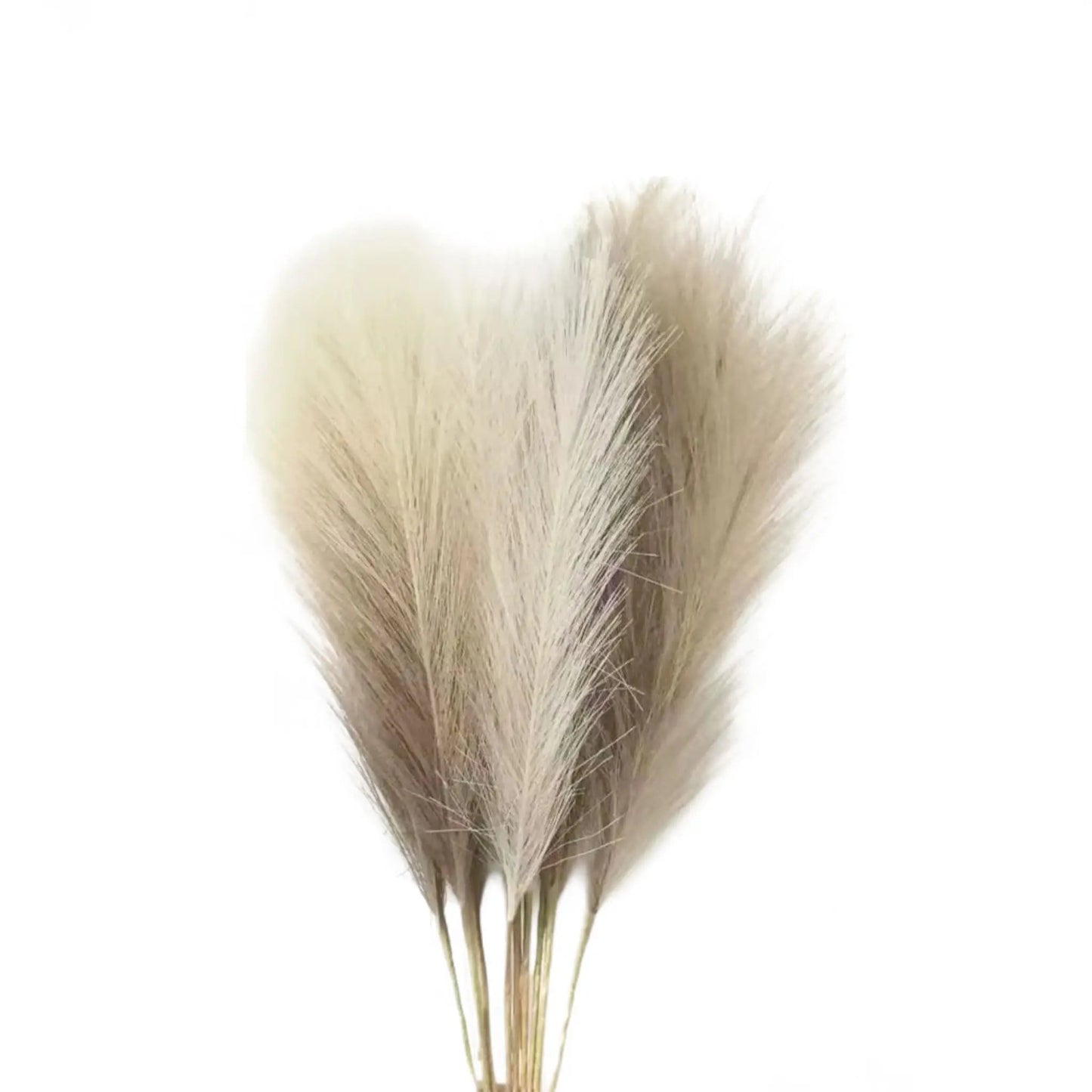 Artificial Pampas Grass Decor – 6pcs Faux Stems for Boho Styling Geniogoods