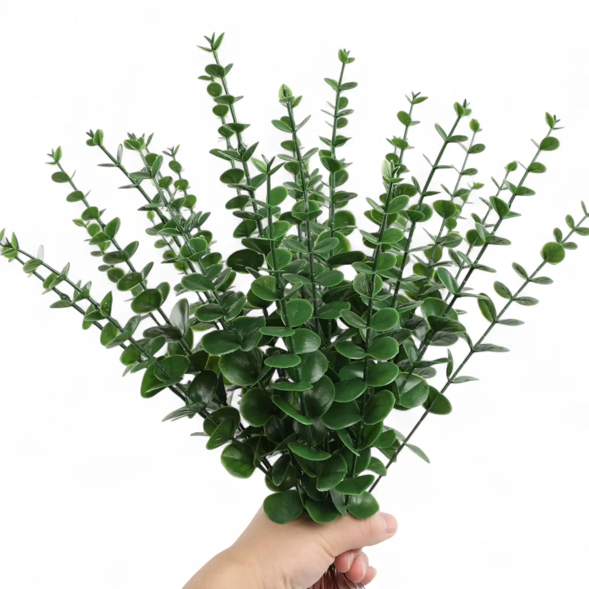 Artificial Eucalyptus Stems – 12pcs Silver Dollar Greenery for Home & Wedding  Geniogoods