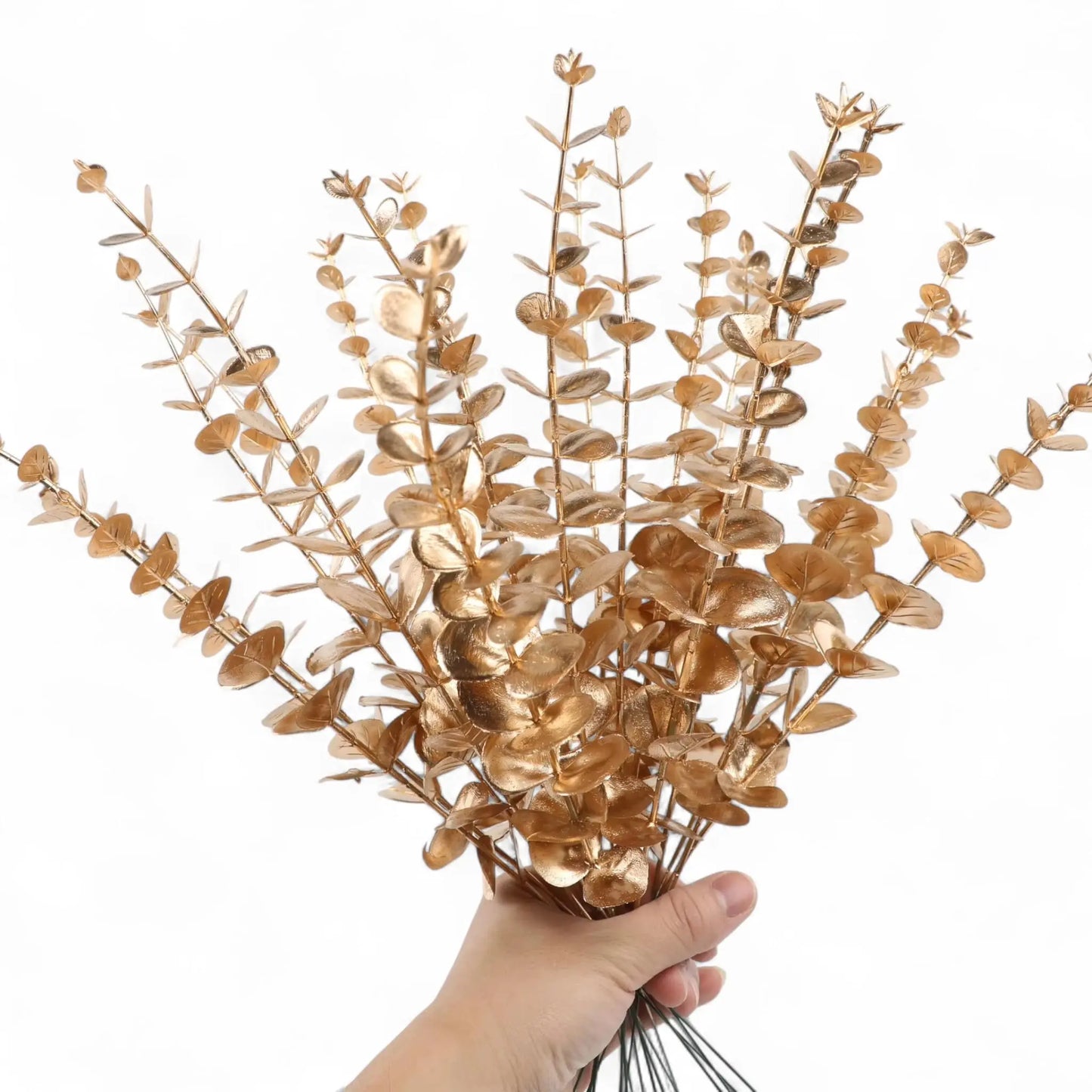 Artificial Eucalyptus Stems – 12pcs Silver Dollar Greenery for Home & Wedding  Geniogoods