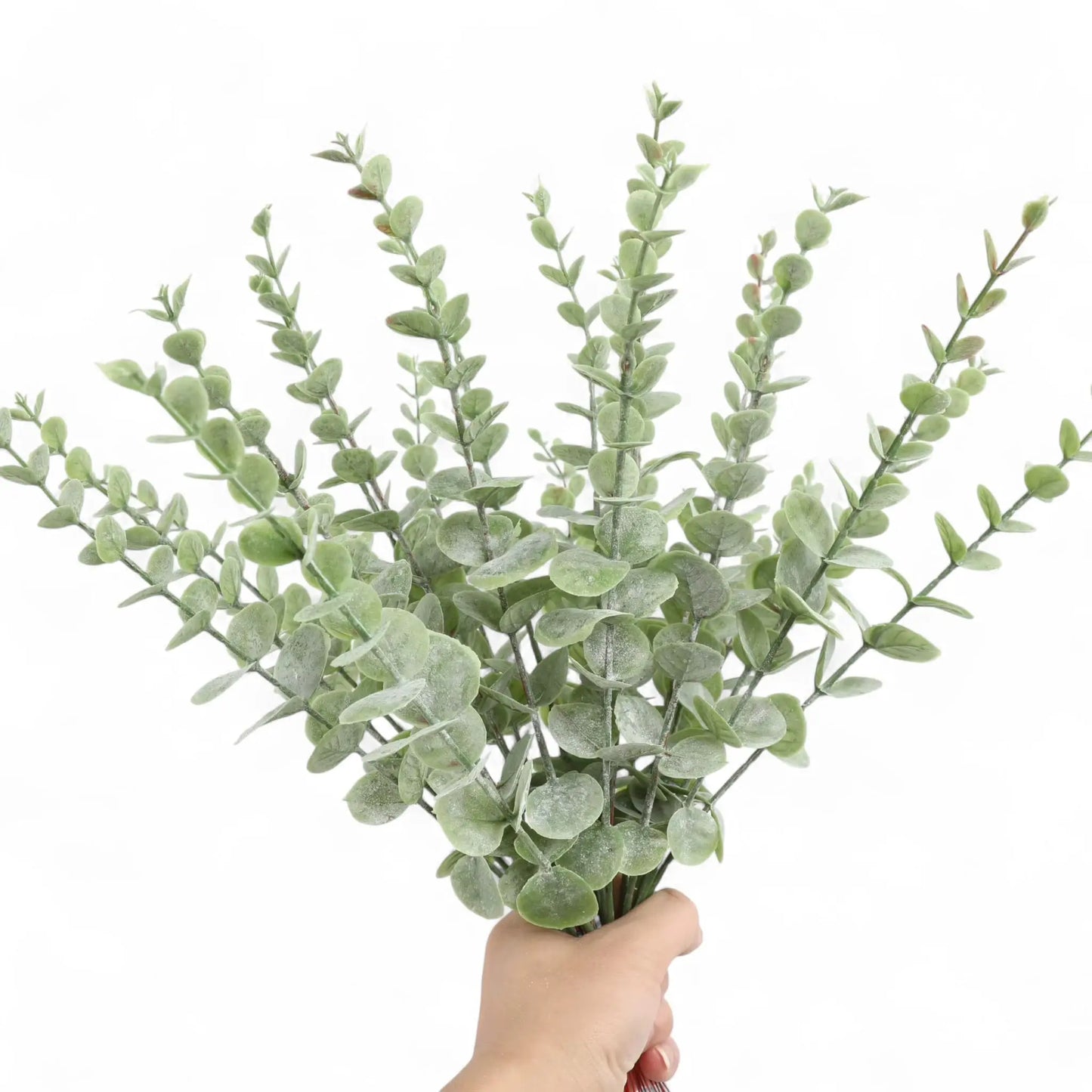 Artificial Eucalyptus Stems – 12pcs Silver Dollar Greenery for Home & Wedding  Geniogoods