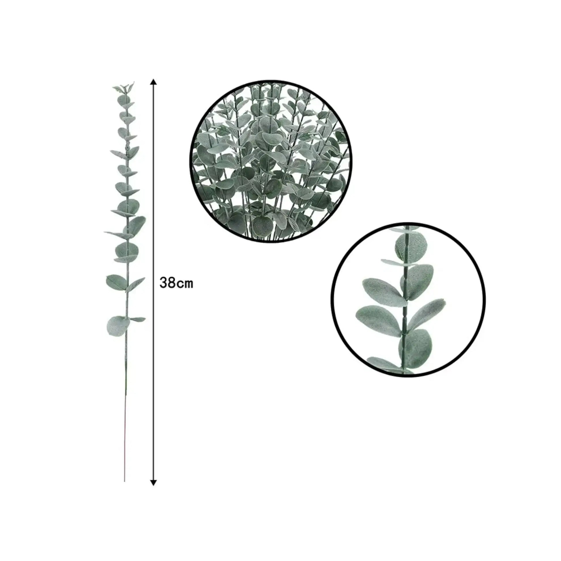 Artificial Eucalyptus Stems – 12pcs Silver Dollar Greenery for Home & Wedding  Geniogoods