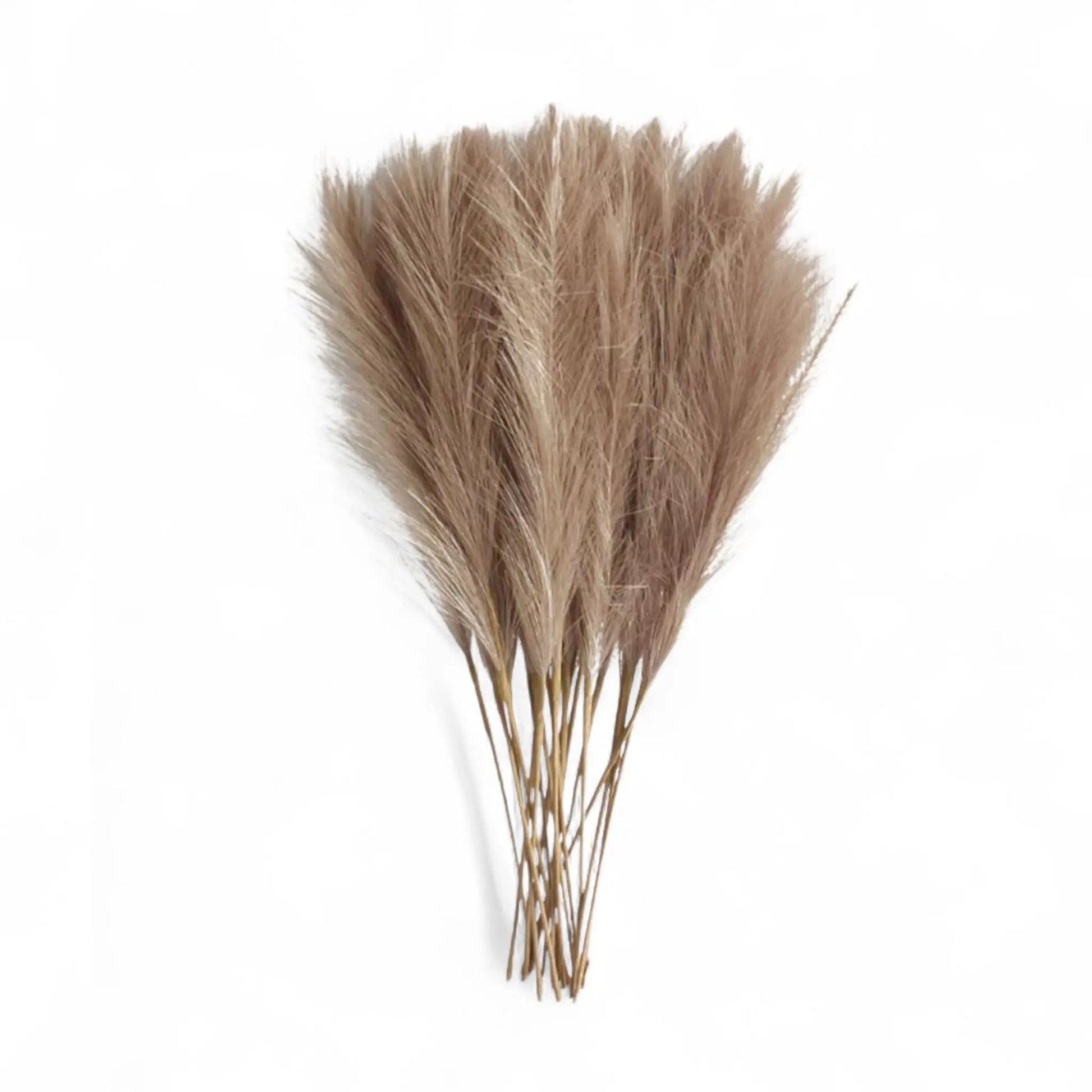 Artificial Pampas Grass Decor – 6pcs Faux Stems for Boho Styling  Geniogoods