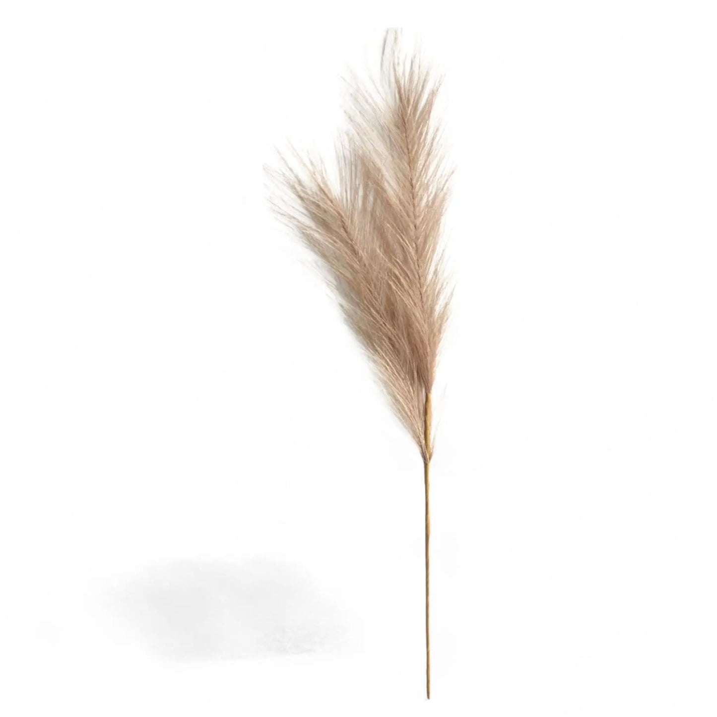 Artificial Pampas Grass Decor – 6pcs Faux Stems for Boho Styling  Geniogoods