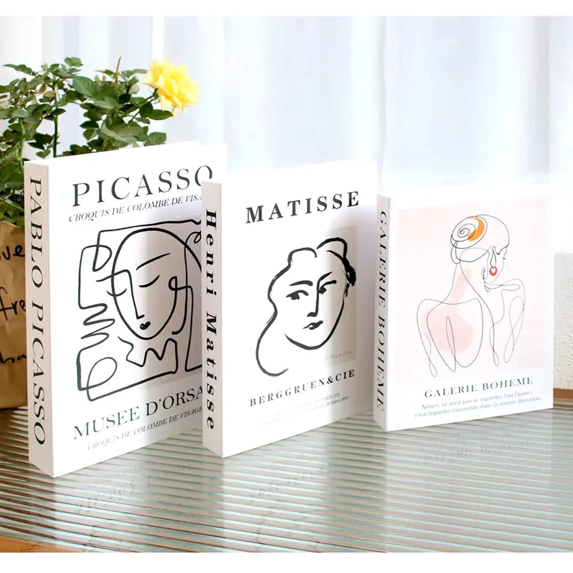 Fake Books Set | Stylish Coffee Table & Living Room Decor
