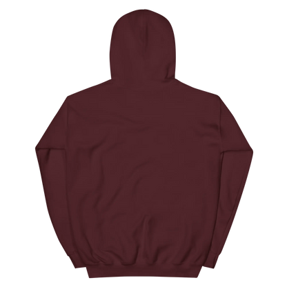 Parenthood Unlocked Hoodie | Unisex Classic | Gamer Achievement Hoodie for New Parents  Geniogoods