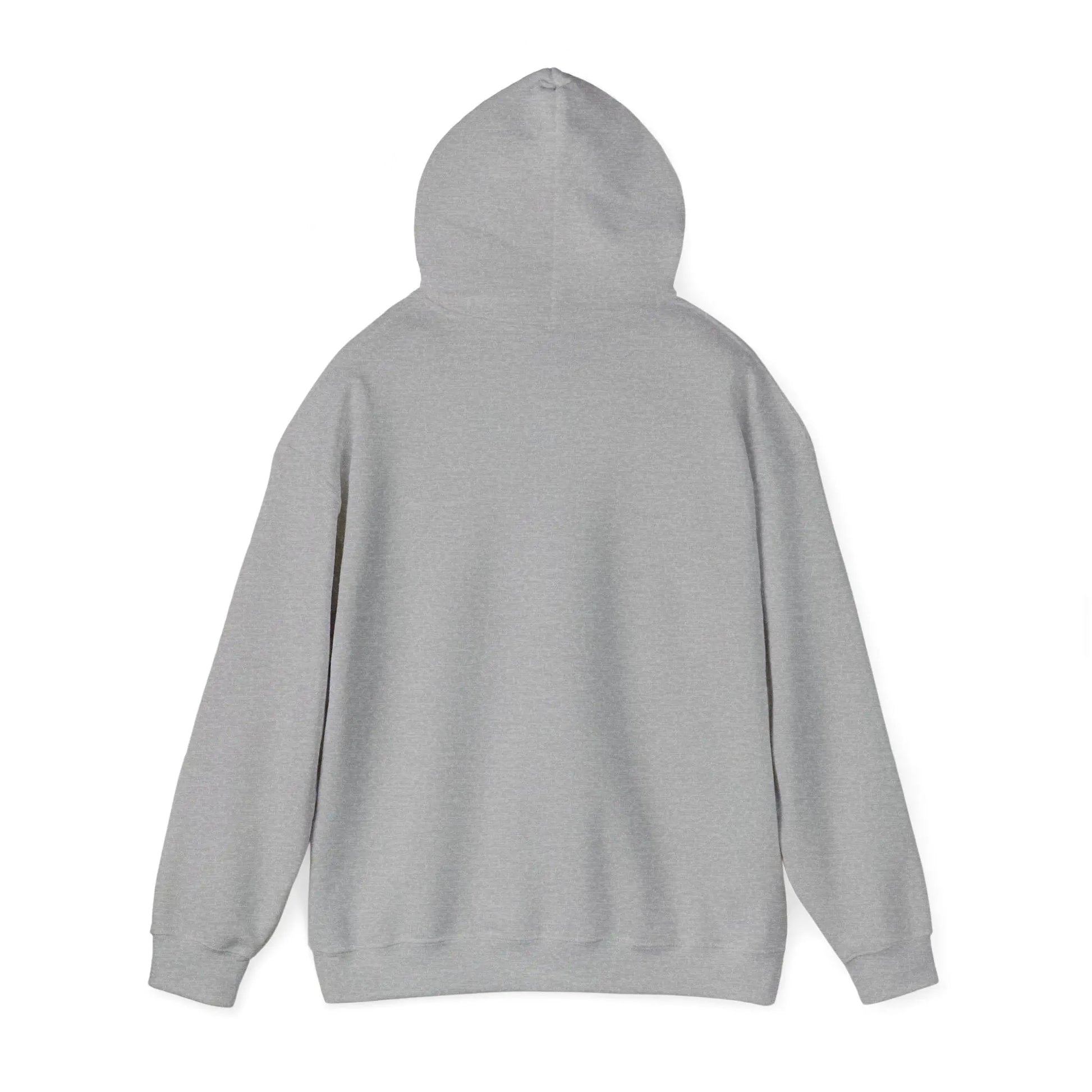 Red Dad Redemption | Unisex Hooded Sweatshirt | Perfect for Red Dead Redemption fans  Geniogoods
