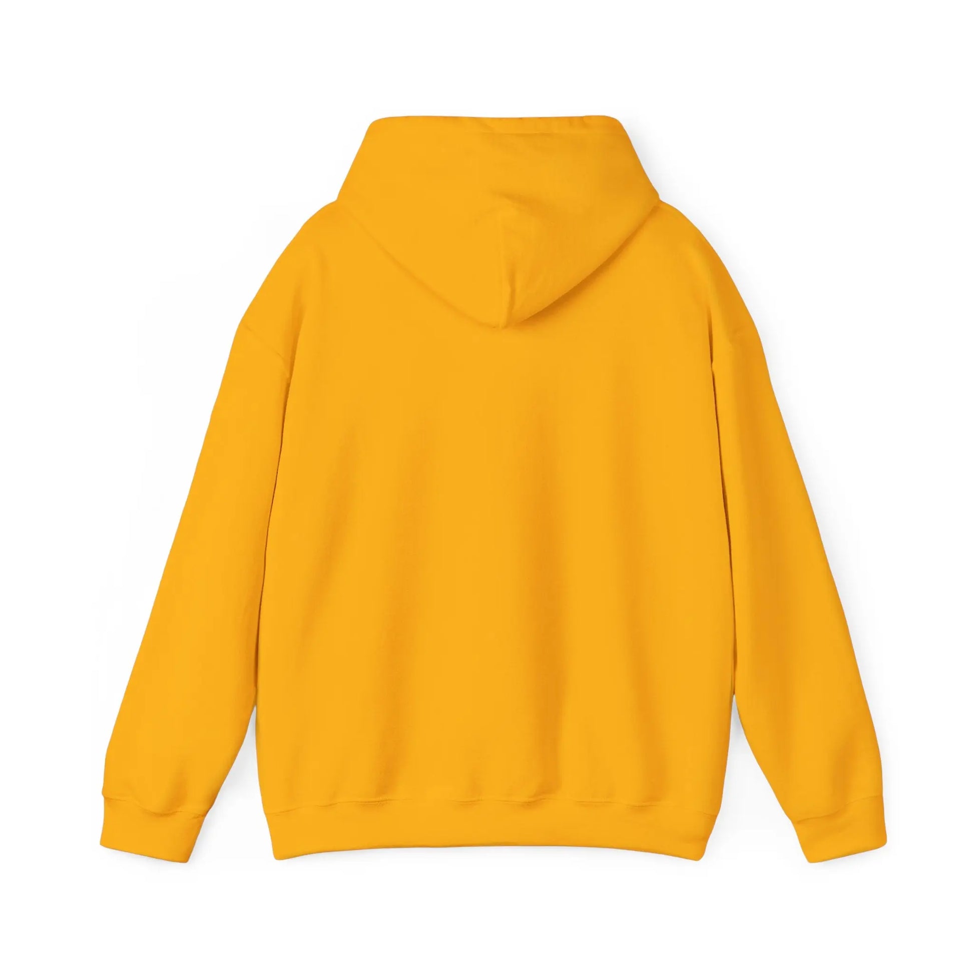 Red Dad Redemption | Unisex Hooded Sweatshirt | Perfect for Red Dead Redemption fans  Geniogoods