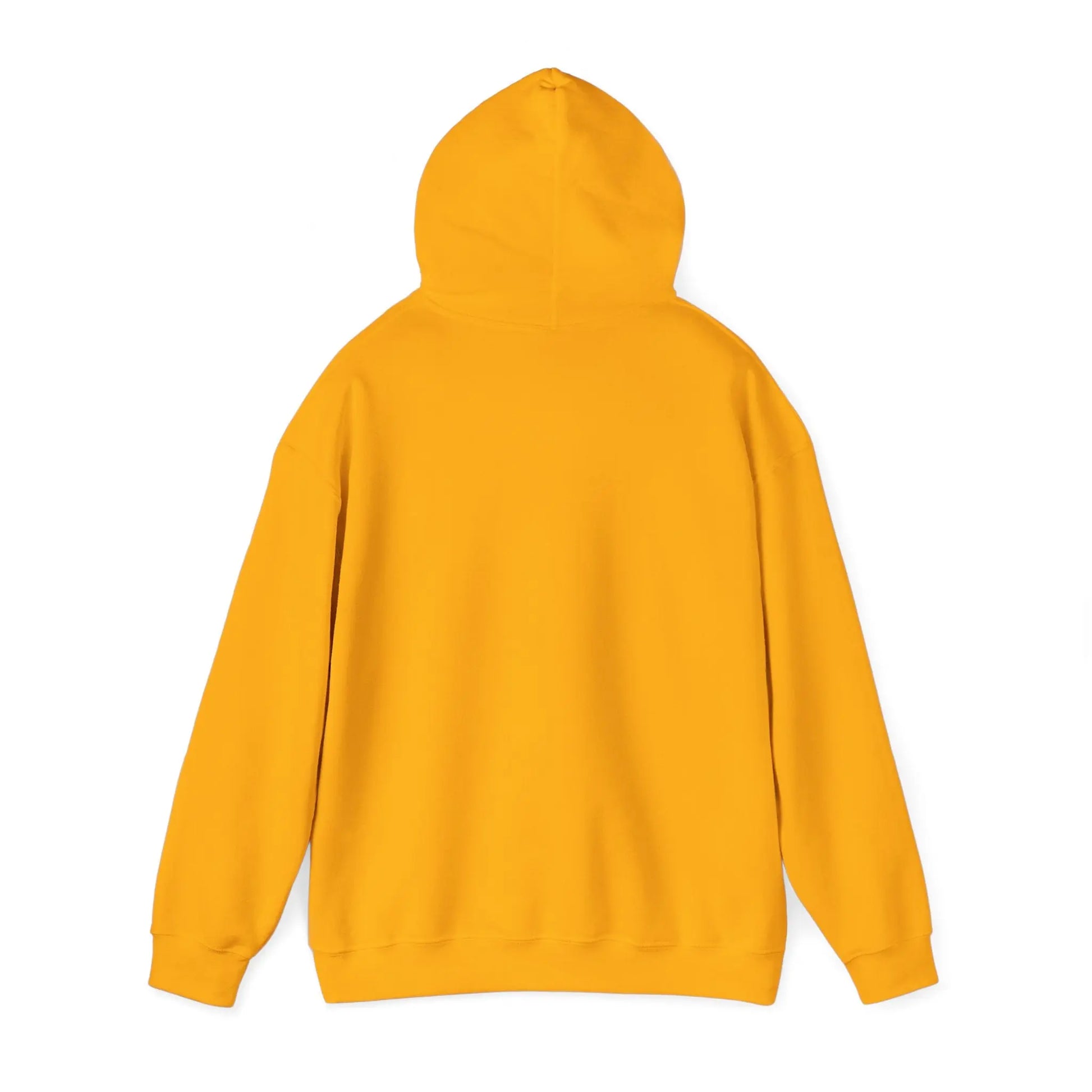 Red Dad Redemption | Unisex Hooded Sweatshirt | Perfect for Red Dead Redemption fans  Geniogoods