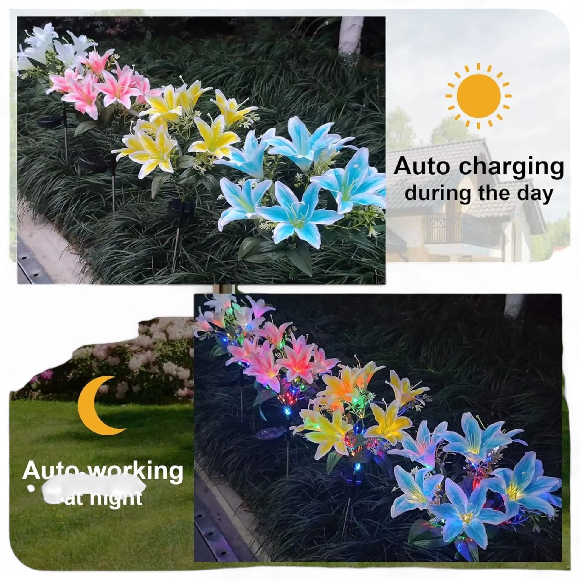 Solar Lily Flower Garden Light – Waterproof LED Outdoor Lamp  Geniogoods