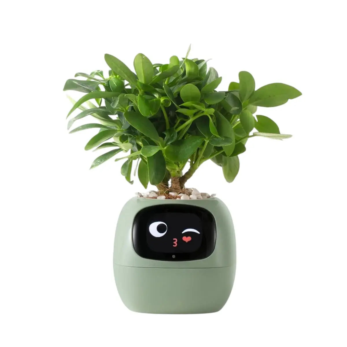 Tuya Smart Planter - AI-Powered Plant Care with 7 Sensors Geniogoods