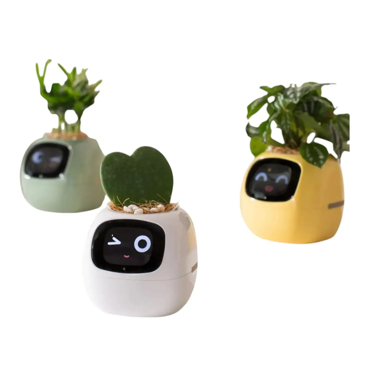 Tuya Smart Planter - AI-Powered Plant Care with 7 Sensors Geniogoods