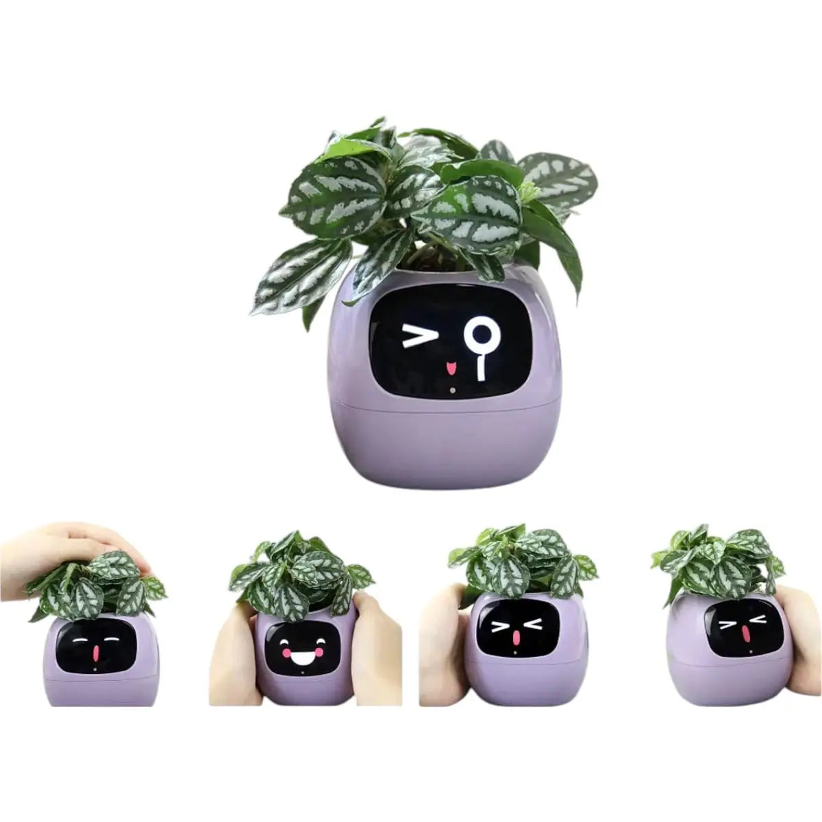 Tuya Smart Planter - AI-Powered Plant Care with 7 Sensors Geniogoods