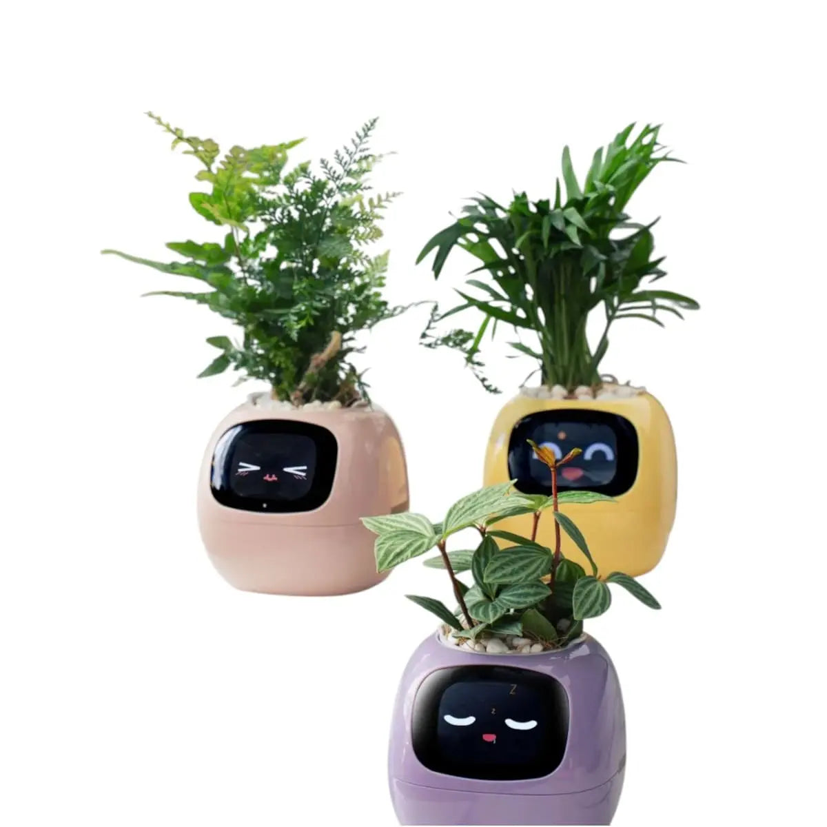 Tuya Smart Planter - AI-Powered Plant Care with 7 Sensors Geniogoods