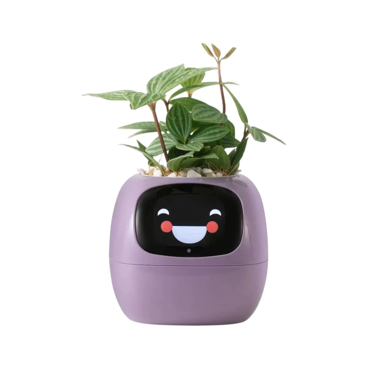 Tuya Smart Planter - AI-Powered Plant Care with 7 Sensors Geniogoods