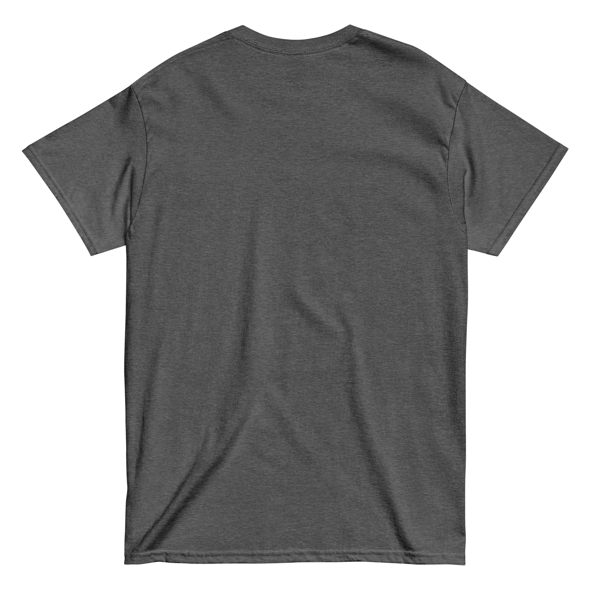 Unisex classic tee  Geniogoods