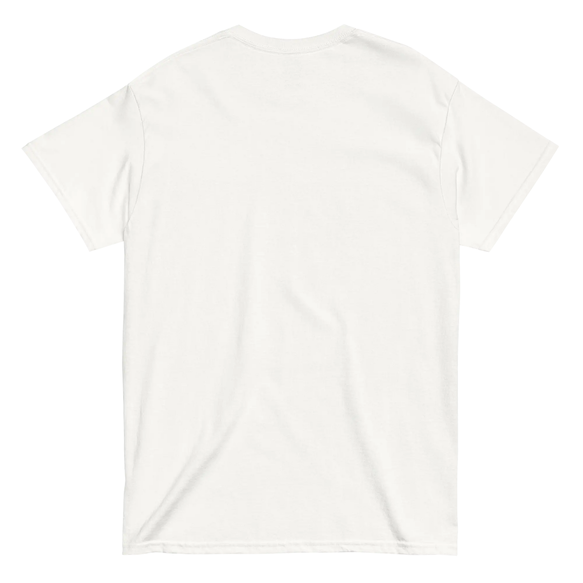 Unisex classic tee  Geniogoods
