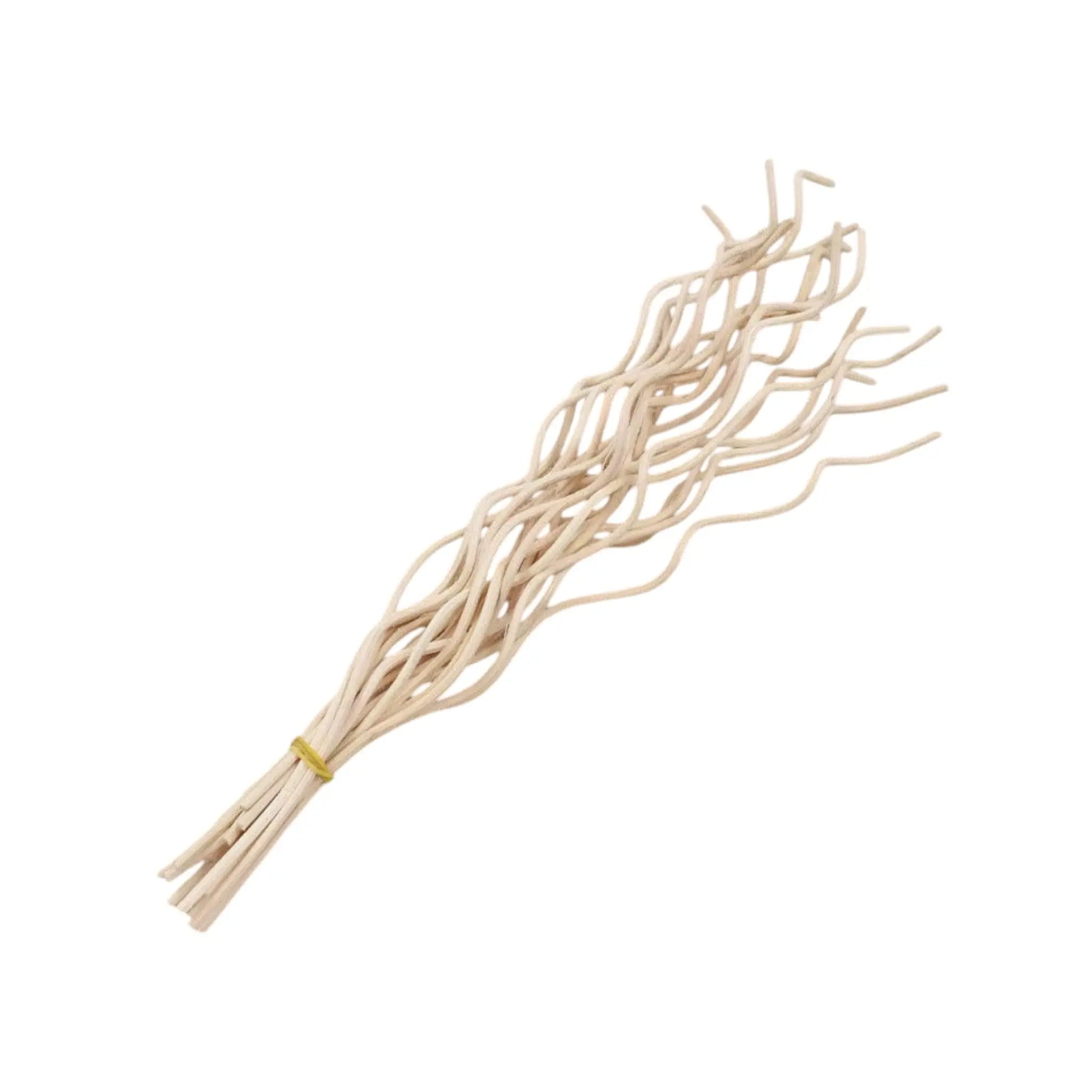 Wavy Rattan Diffuser Sticks – 20pcs Refill for Home Fragrance Decor  Geniogoods