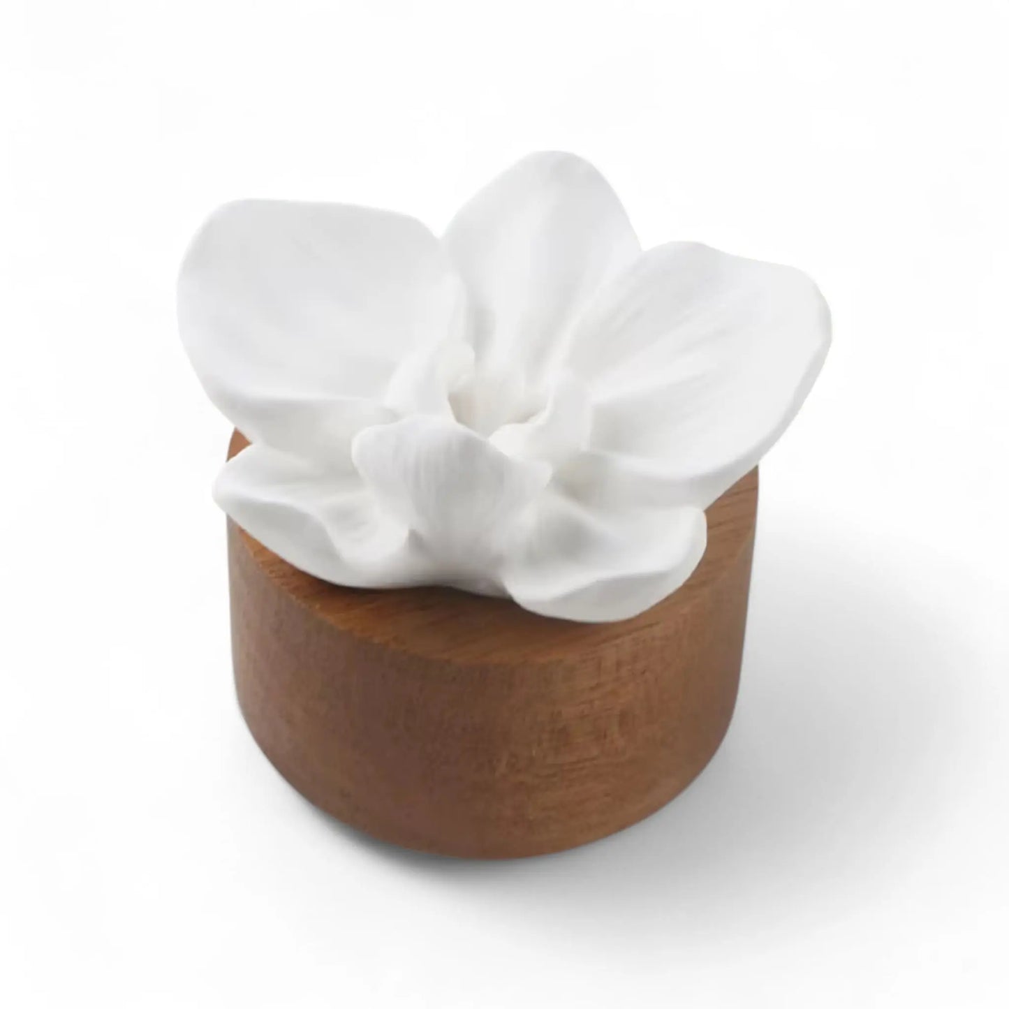 White Gypsum Rose Diffuser – Elegant DIY Scent Stone for Car & Home  Meta Description  Geniogoods