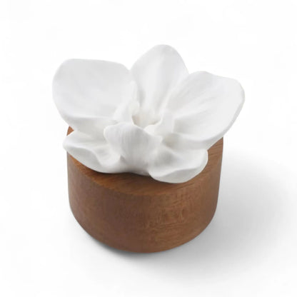 White Gypsum Rose Diffuser – Elegant DIY Scent Stone for Car & Home  Meta Description  Geniogoods