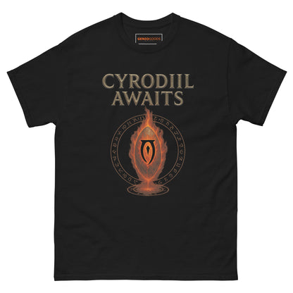 Oblivion Cyrodiil Awaits T-Shirt – Fiery Gate Tribute