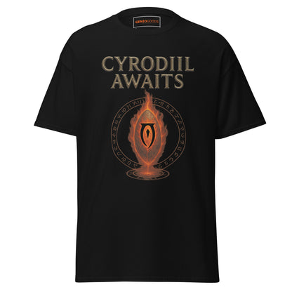 Oblivion Cyrodiil Awaits Shirt – Fiery Gate Design