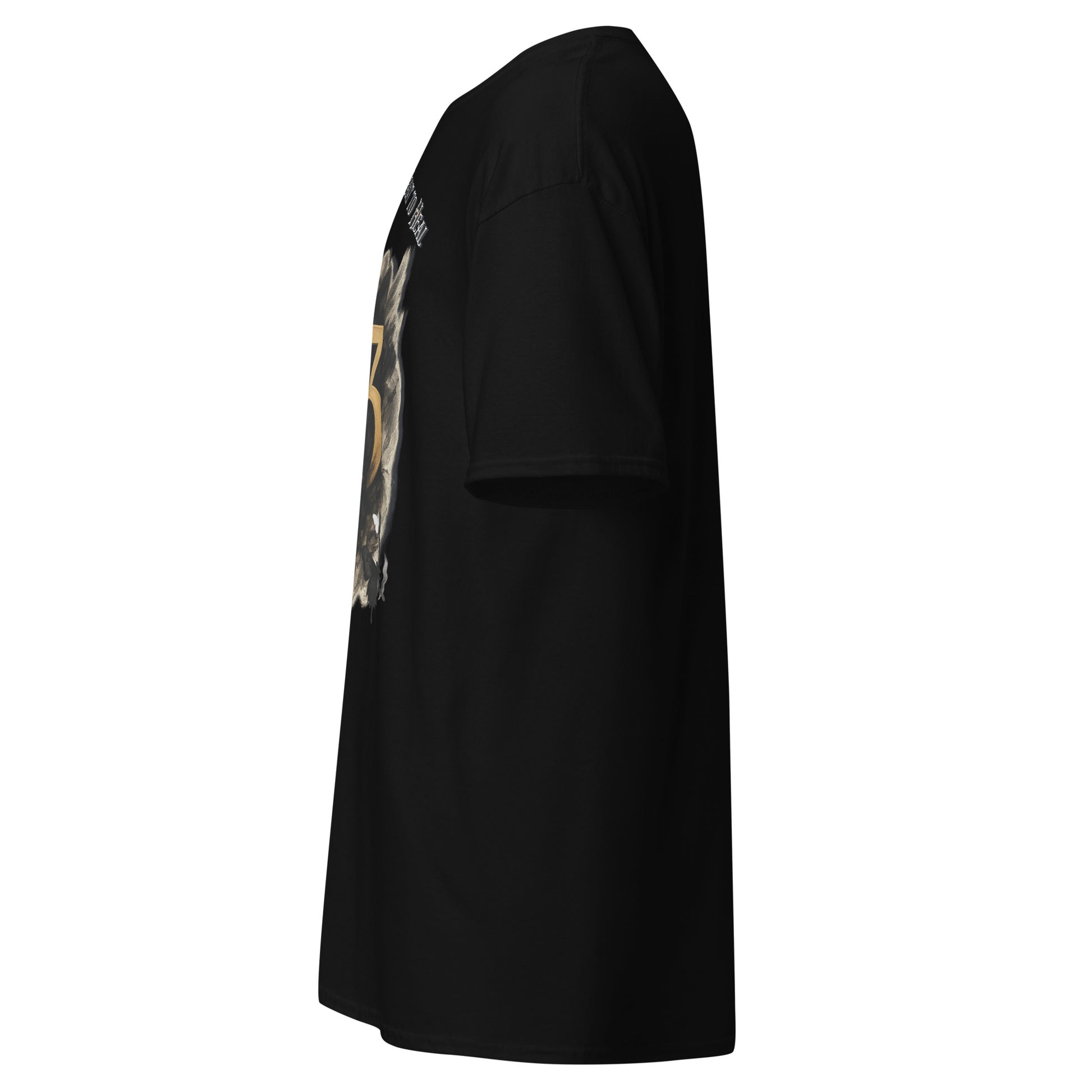 Side view of black Expedition 33 Cycles That Don’t Heal graphic t-shirt inspired by Clair Obscur Expedition 33.