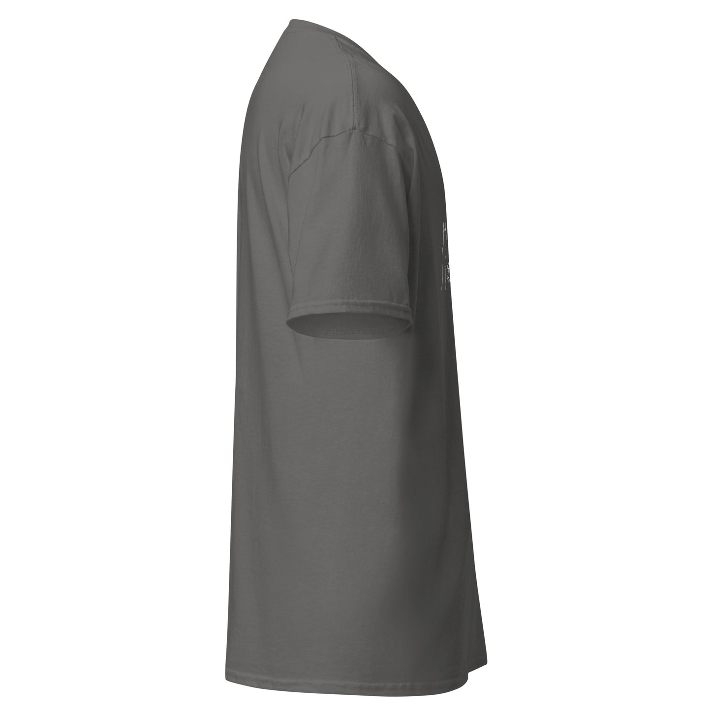 Right side view of the charcoal Nine Sols Under the Golden Sol character tee showing sleeve shape and straight silhouette