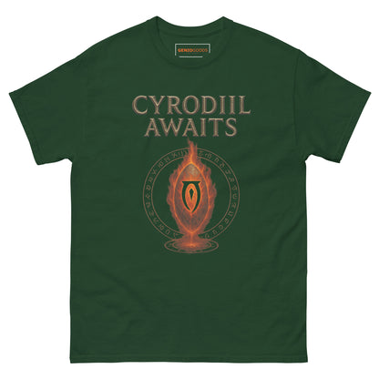 Oblivion Cyrodiil Awaits T-Shirt – Fiery Gate Tribute