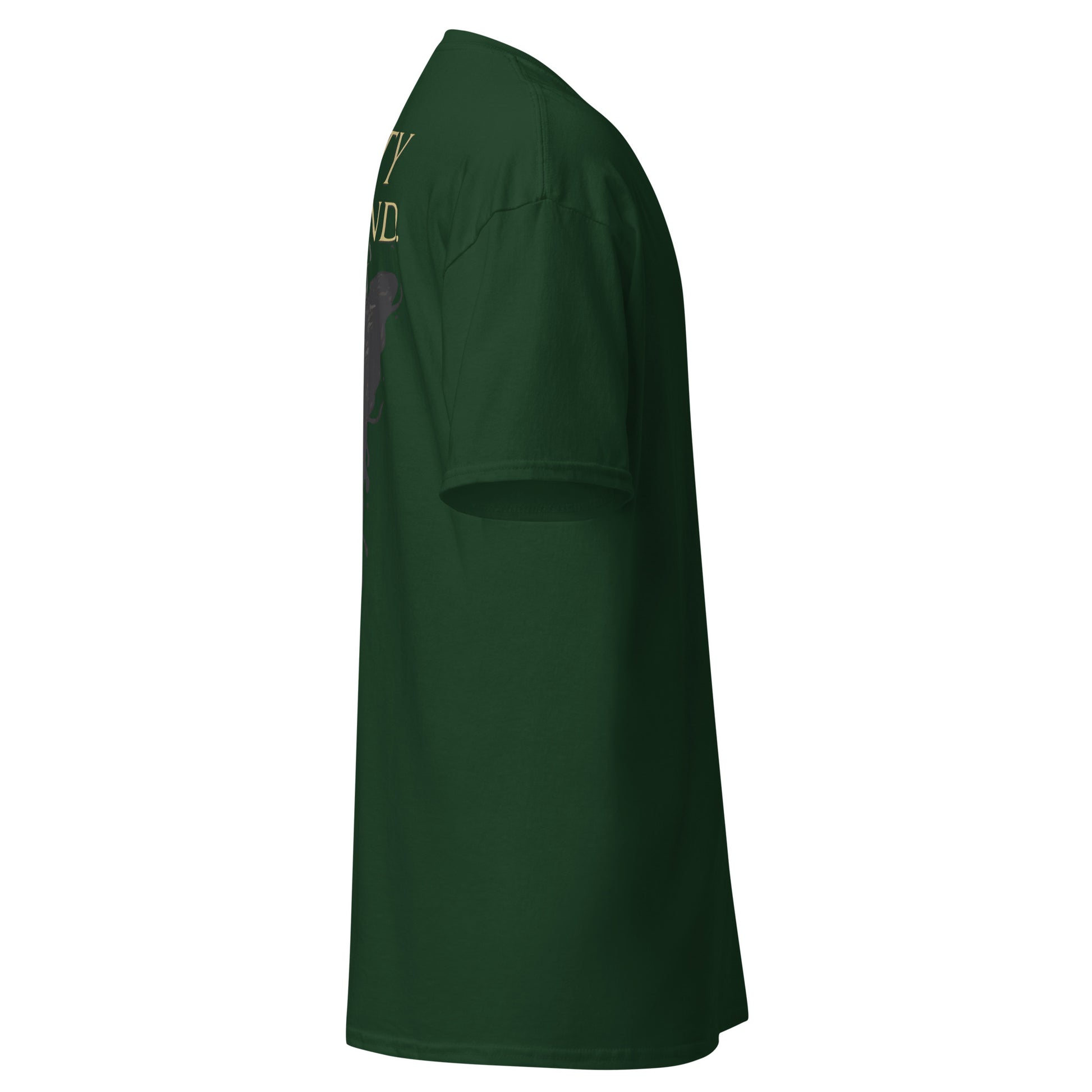 Dark Fantasy T-Shirt – Beauty in the End Inspired by Clair Obscur 33 – fan-made gamer merch by GenioGoods