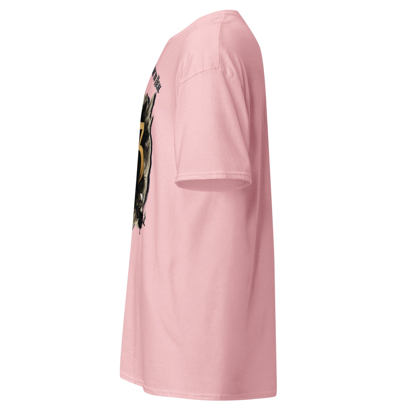 side view of light Pink Expedition 33 Cycles That Don’t Heal graphic t-shirt inspired by Clair Obscur Expedition 33.