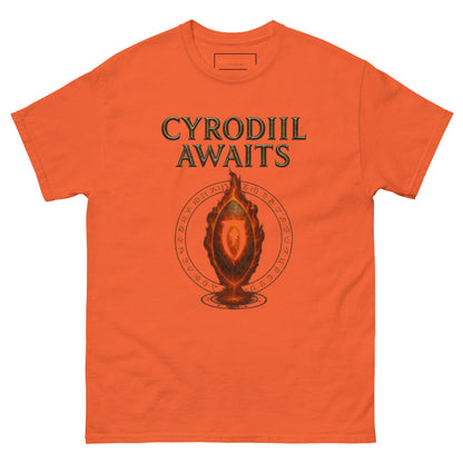 Oblivion Cyrodiil Awaits T-Shirt – Fiery Gate Tribute