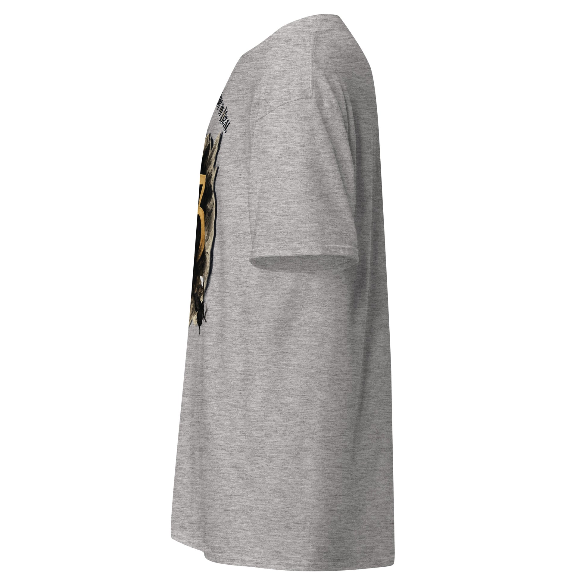 side view of Light gray Expedition 33 Cycles That Don’t Heal graphic t-shirt inspired by Clair Obscur Expedition 33.