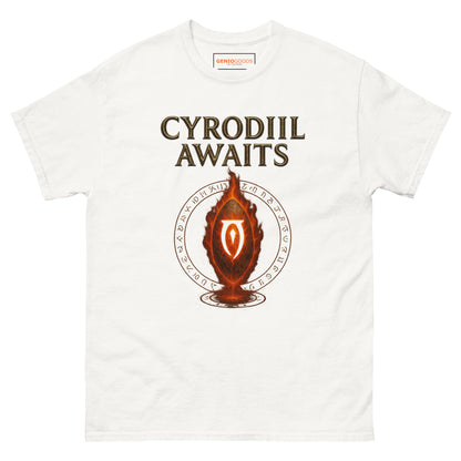 Oblivion Cyrodiil Awaits T-Shirt – Fiery Gate Tribute