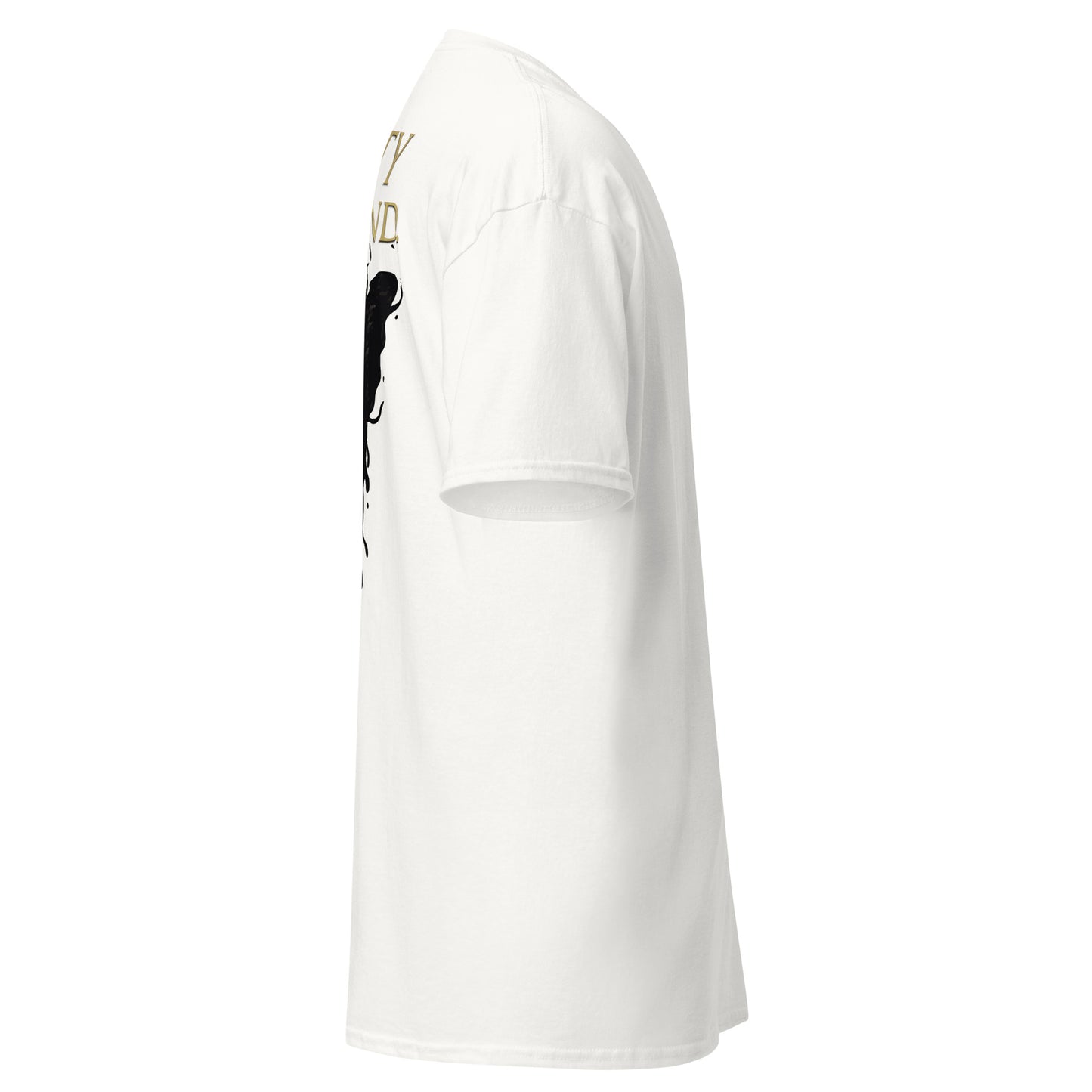 Dark Fantasy T-Shirt – Beauty in the End Inspired by Clair Obscur 33 – fan-made gamer merch by GenioGoods