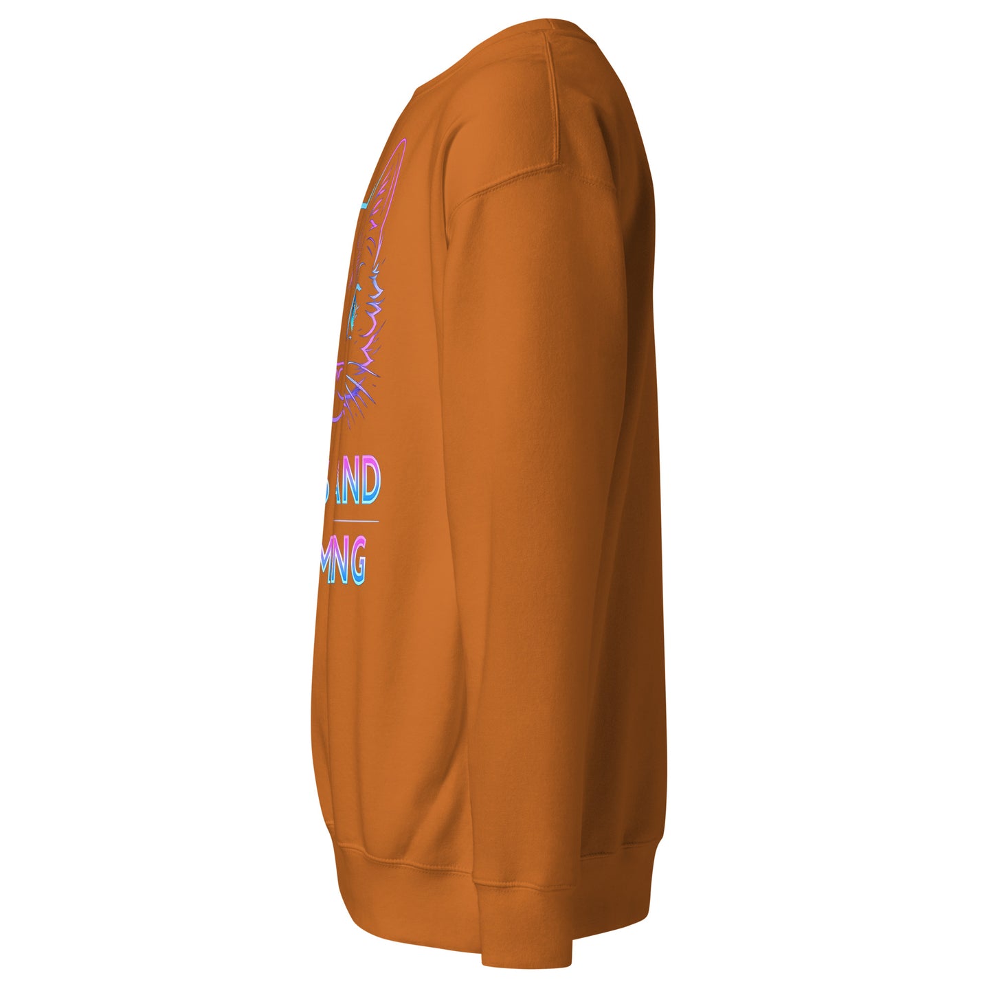 Cats and gaming sweatshirt neon gamer cat aesthetic – original gamer merch by GenioGoods