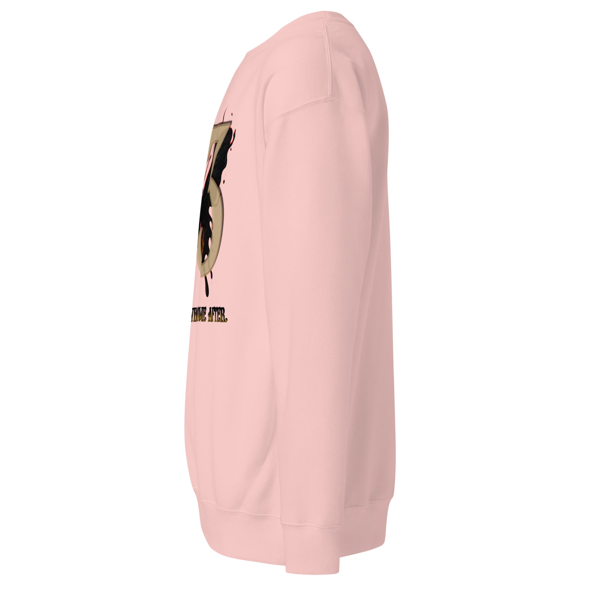 Expedition 33 Sweatshirt – For Those Who Come After Tribute – fan-made gamer merch by GenioGoods