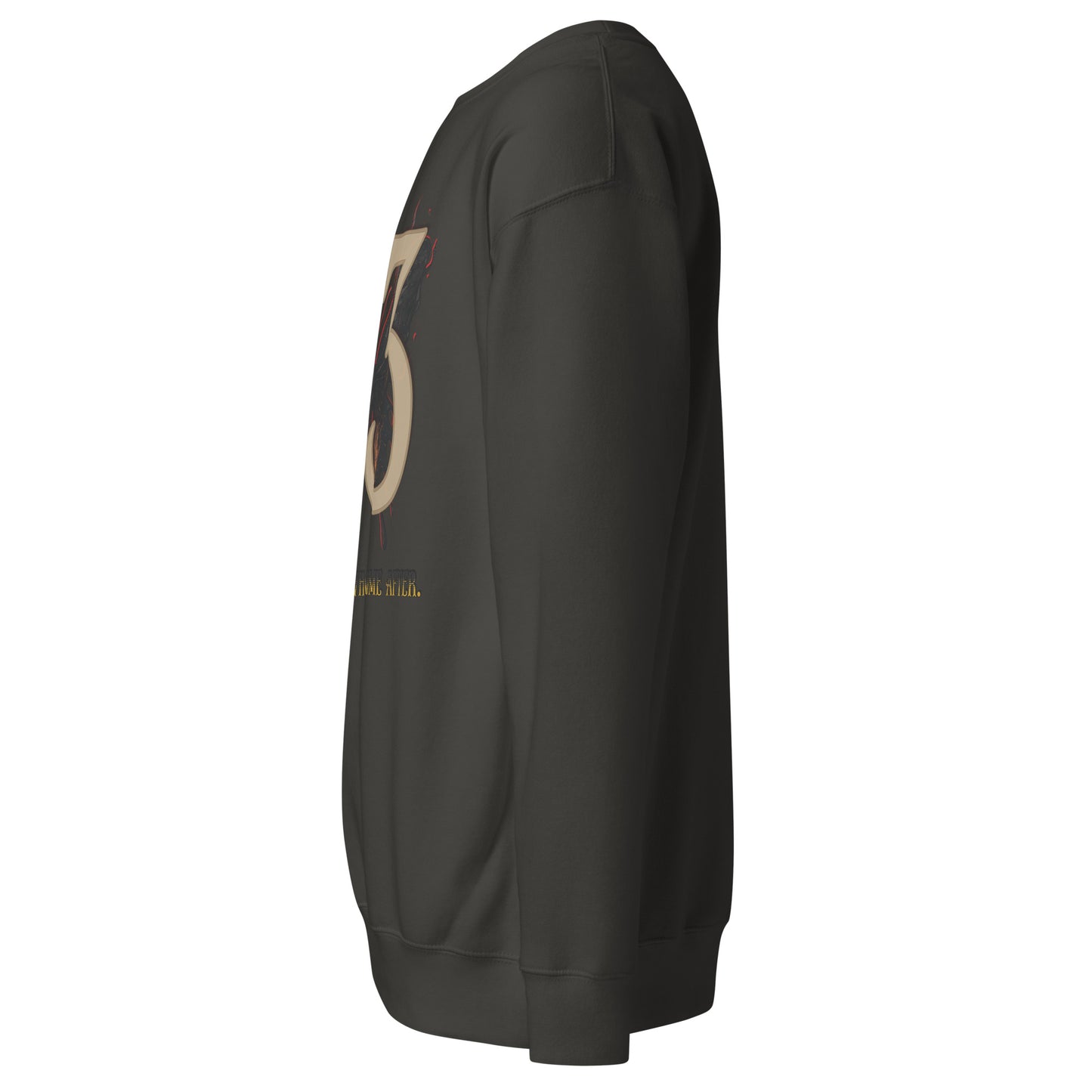 Expedition 33 Sweatshirt – For Those Who Come After Tribute – fan-made gamer merch by GenioGoods